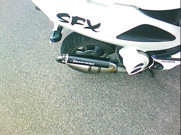 Honda SFX ( Solgt ) billede 4