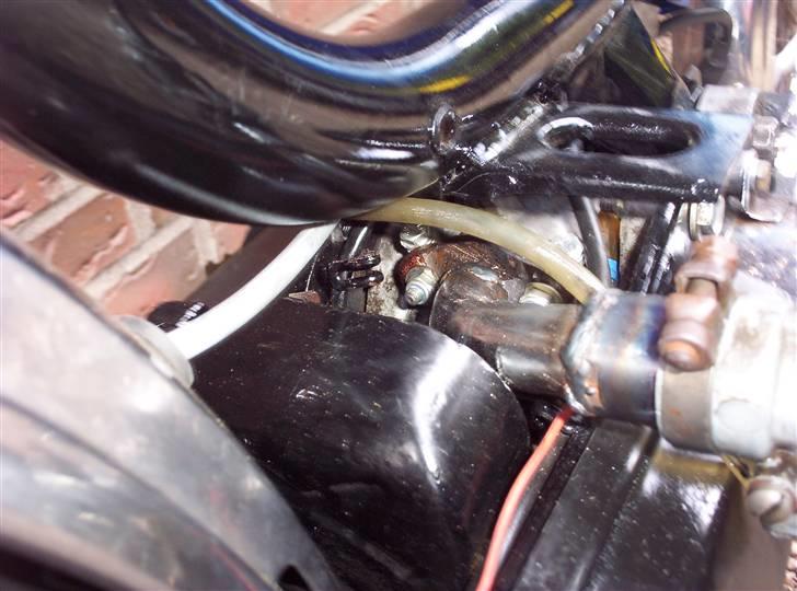 Honda Camino pa50 SOLGT billede 4