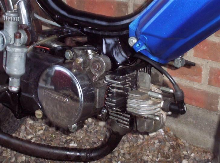 Honda Camino pa50 SOLGT billede 7