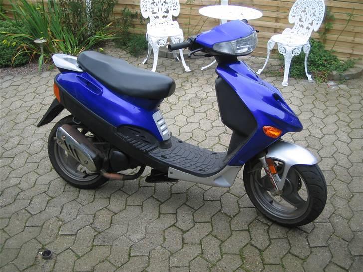 Adly Baboon,silverfox - FØR billede 1