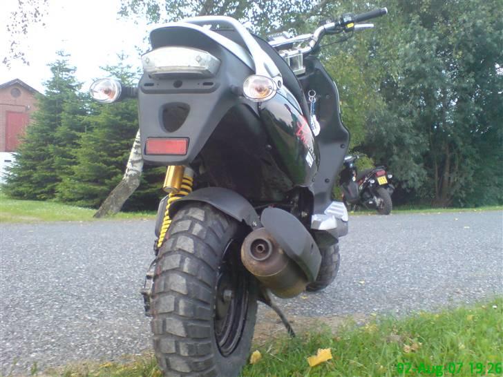 PGO Pmx Naked  billede 9