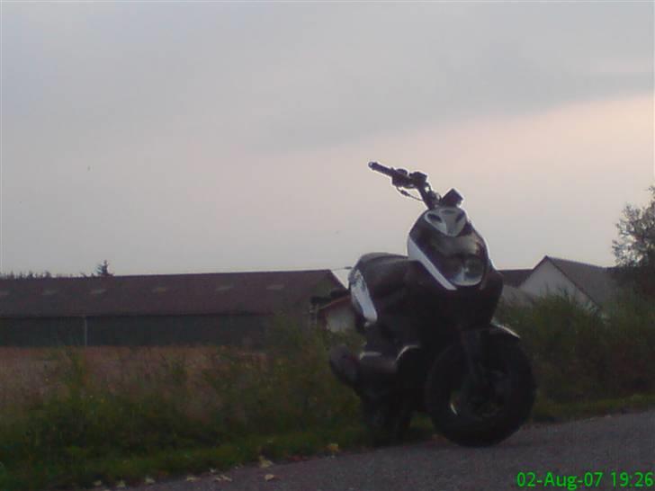 PGO Pmx Naked  billede 12