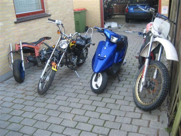 Kinroad prince solgt billede 8