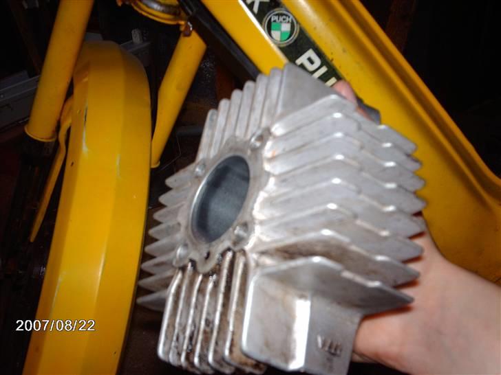 Puch maxi - 65 polini billede 9