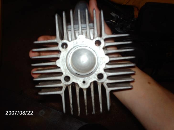 Puch maxi - 65 polini billede 10