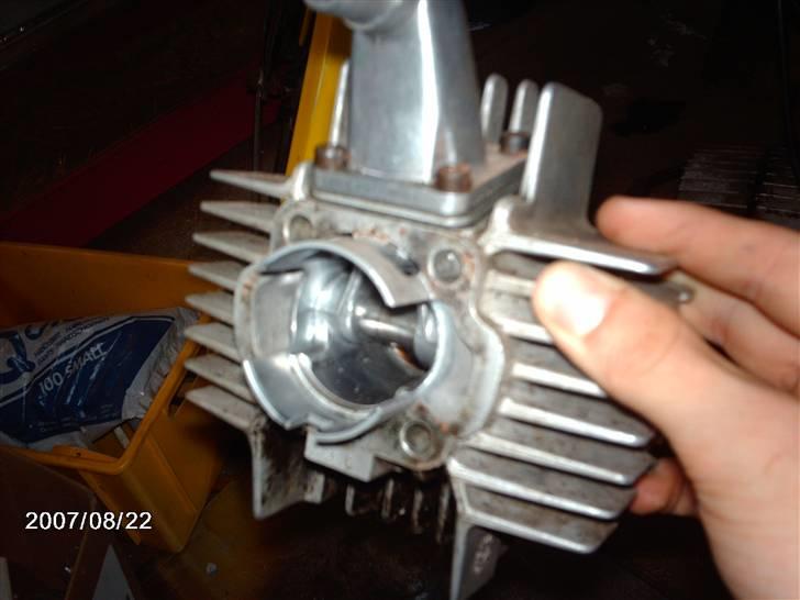 Puch maxi - 65 polini billede 11