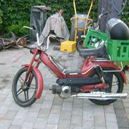 Puch Maxi KL