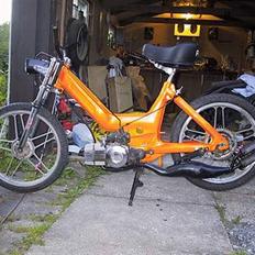 Puch maxi k E50