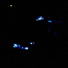 Aprilia Sonic GP (solgt 10.000,-)