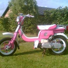 Suzuki FZ 50 - Solgt . 