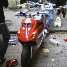 Adly Falcon PROJEKT Solgt