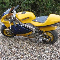 MiniBike Pocketbike
