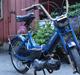 Puch maxi-k solgt 