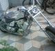 MiniBike min chopper