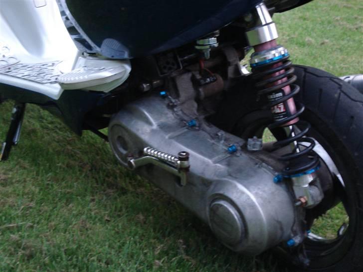 Aprilia Sonic GP billede 6