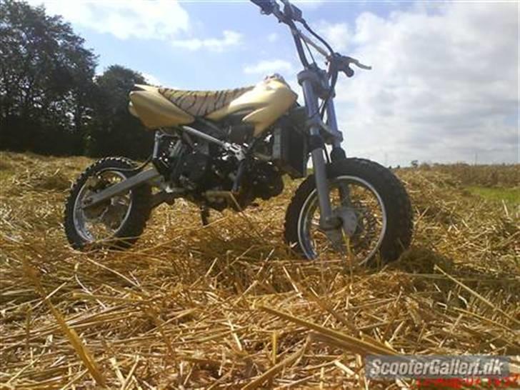 MiniBike 110cc LC DD ¤GONE¤ billede 2