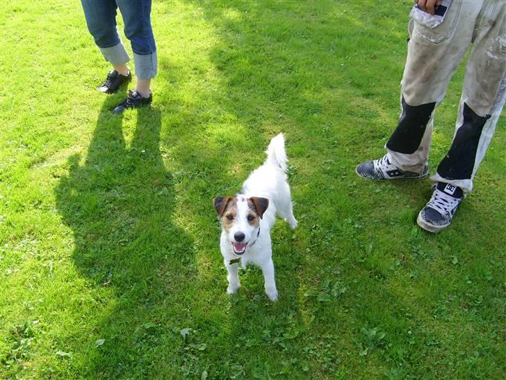 Peugeot Speedfight 2 ac - FIGO billede 9