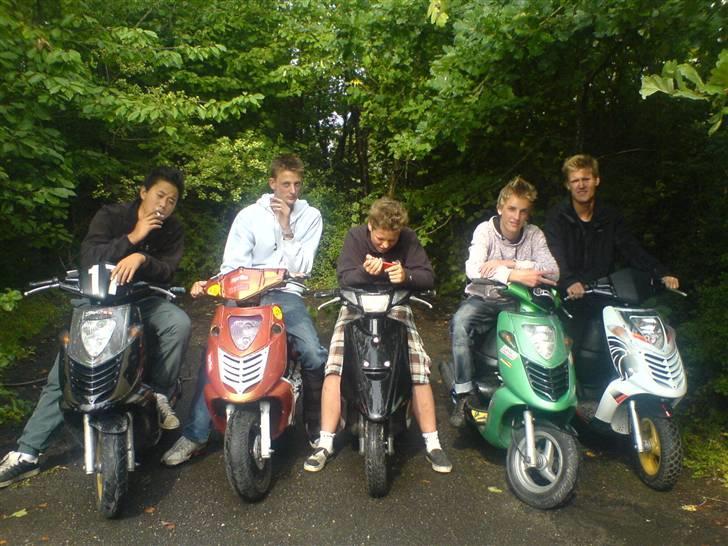 Aprilia sonic - 4 sonic og 1 jog :D.  Min den grønne  billede 2