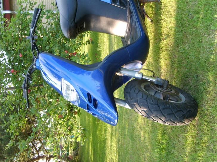 Piaggio Typhoon billede 4