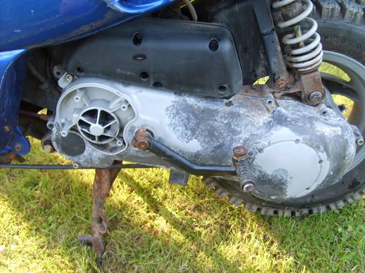 Piaggio Typhoon billede 5