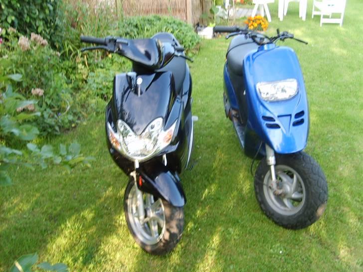 Piaggio Typhoon - skønheden & udyret ;b billede 6