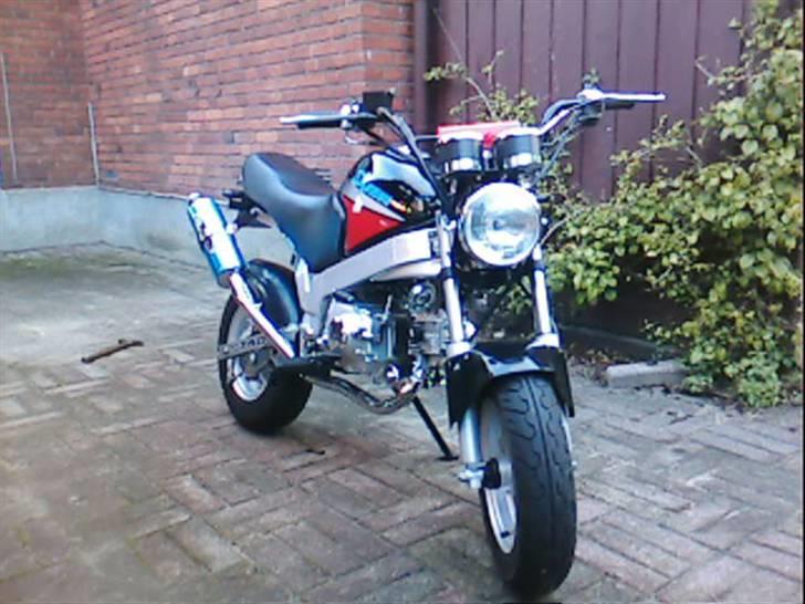 Skyteam PBR *byttet til Peugeot* billede 7
