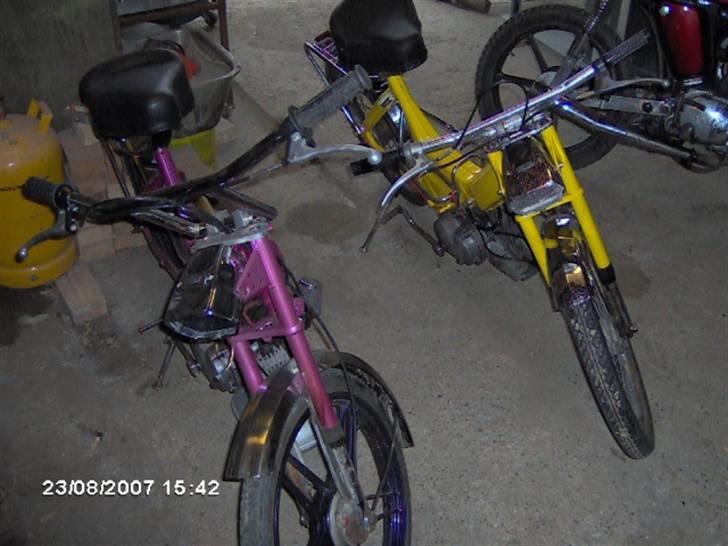 Puch maxi - SOLGT- - min og min kammí´s maxi hans er den ninja gule billede 13