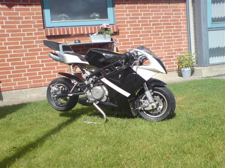 MiniBike pocket bike LC billede 1