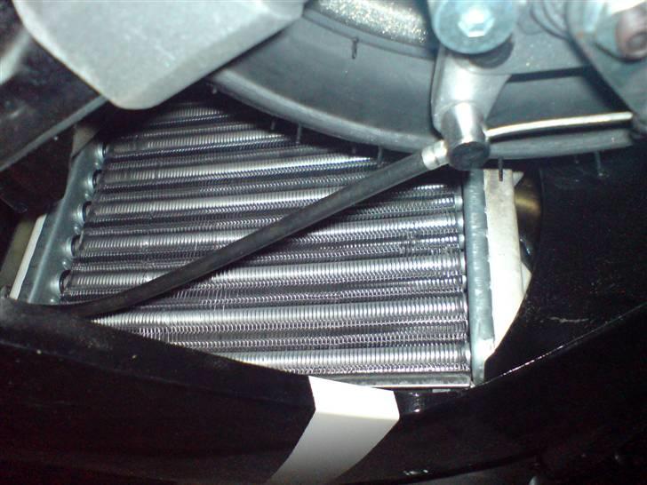 MiniBike pocket bike LC billede 14