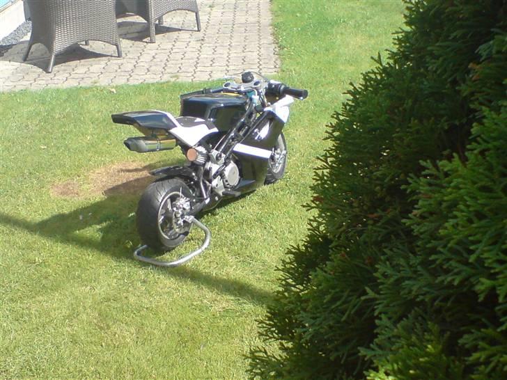 MiniBike pocket bike LC billede 17