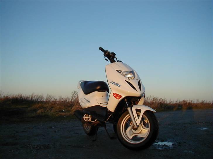 Adly Thunderbike (Fie) billede 12