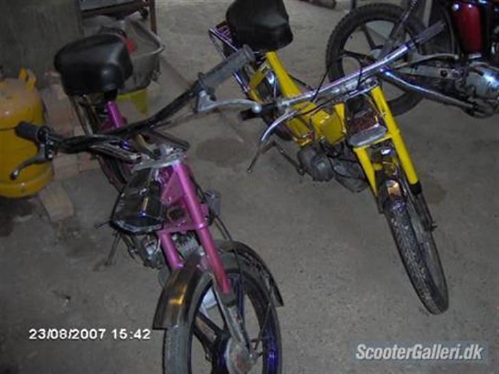 Puch Maxi k.. - Mig og min kammis racer... billede 11