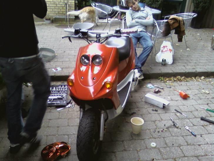 Adly Falcon PROJEKT Solgt billede 1