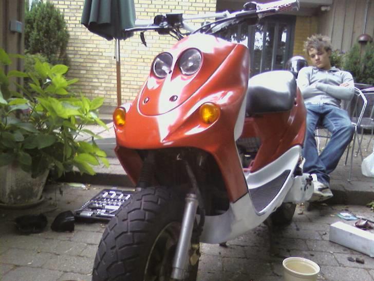 Adly Falcon PROJEKT Solgt billede 2