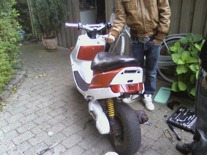 Adly Falcon PROJEKT Solgt billede 6