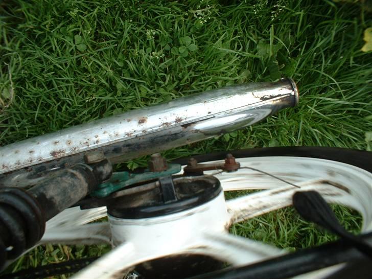 Tomos quadro bytte til HOT-50 billede 5