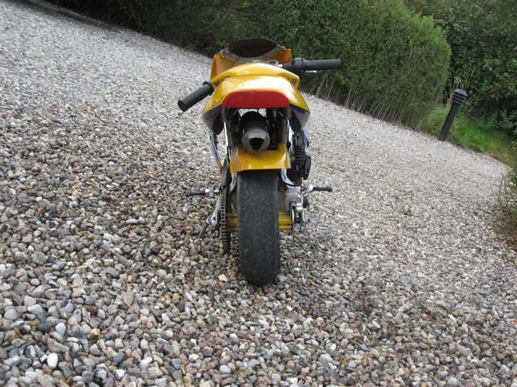 MiniBike Pocketbike billede 2