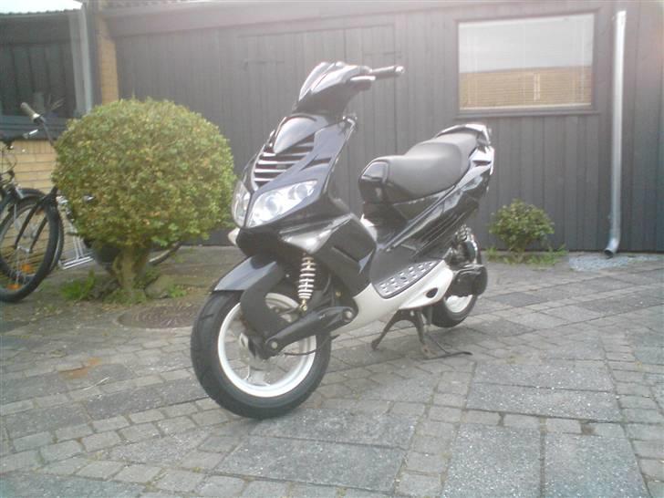 Peugeot Speedfight 2 307 WRC billede 3