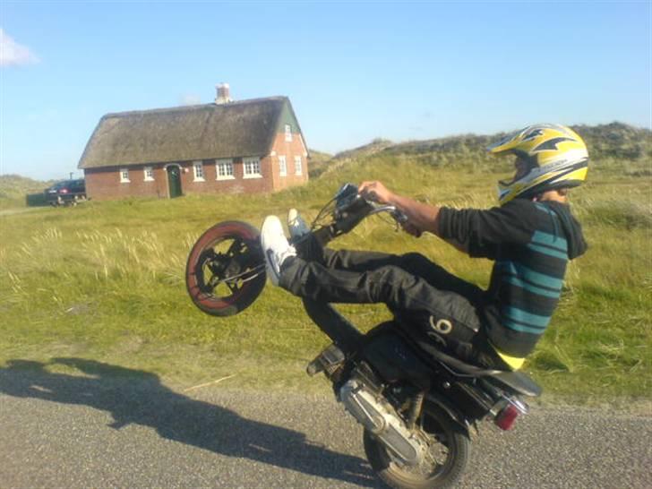 Suzuki fz  billede 1