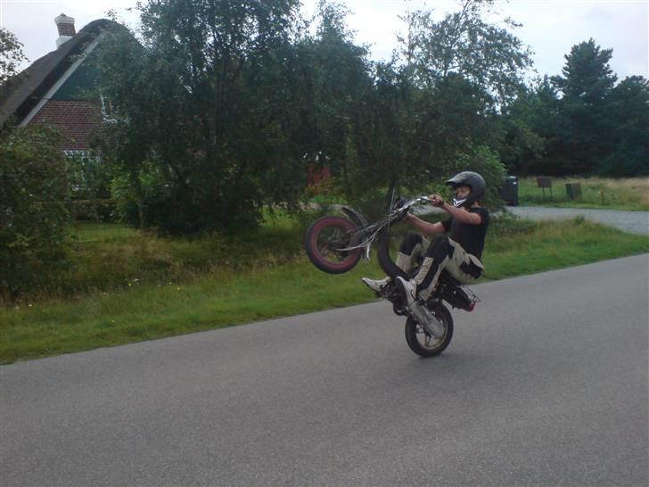 Suzuki fz  billede 4