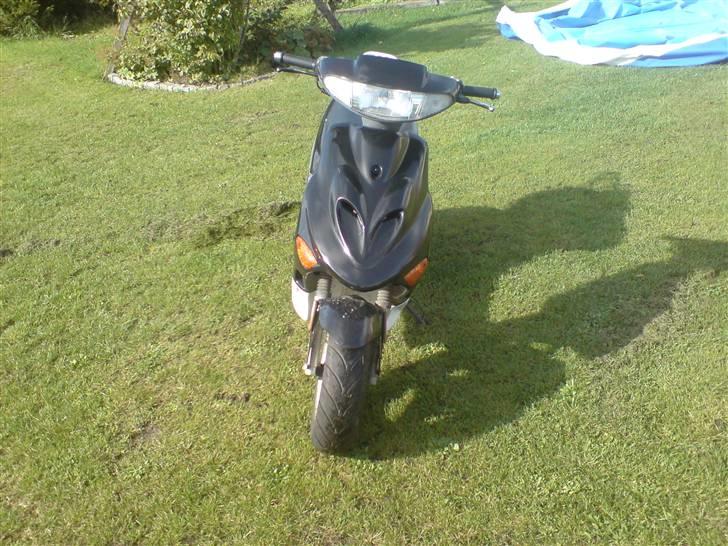 Adly silverfox *SOLGT! 3200kr* billede 4