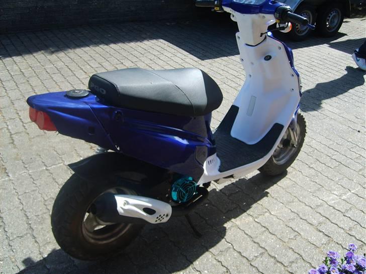 PGO hot 50 solgt billede 8