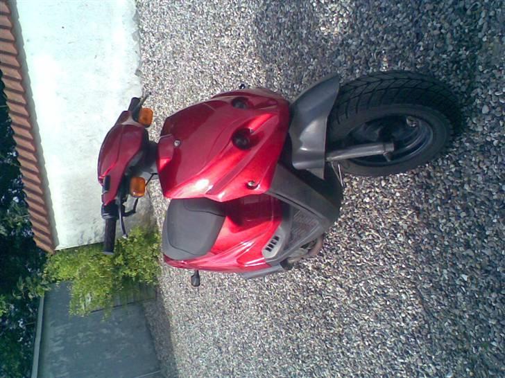 PGO Hot Tornado Byttet billede 11