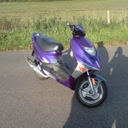 Adly Gazelle * SOLGT*