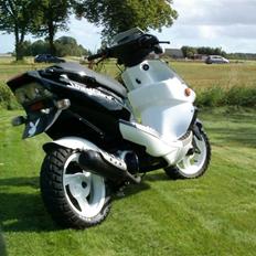 PGO DR. BIG (TILSALG!)