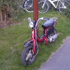 Suzuki FZ50 Rød/sort byttet