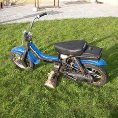 Suzuki FZ50 * SOLGT *