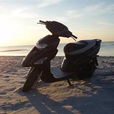 Honda sfx      