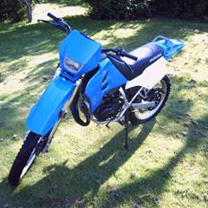 Suzuki RMX LC DD (SOLGT)