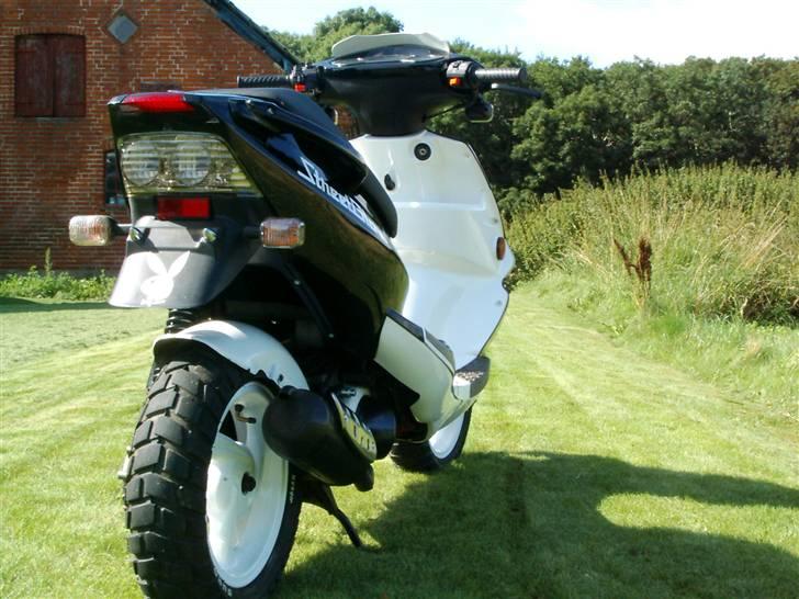 PGO DR. BIG (TILSALG!) billede 9